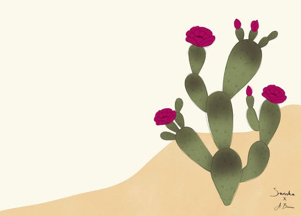 Ingredient Highlight: Prickly Pear